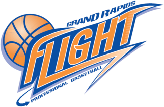 Grand Rapids Flight 2004-2009 Primary Logo iron on heat transfer